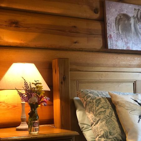 Log Home Village Ulverston Bagian luar foto