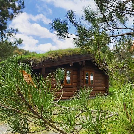 Log Home Village Ulverston Bagian luar foto