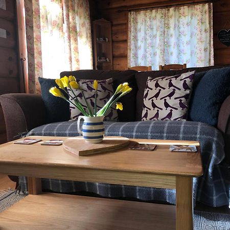 Log Home Village Ulverston Bagian luar foto