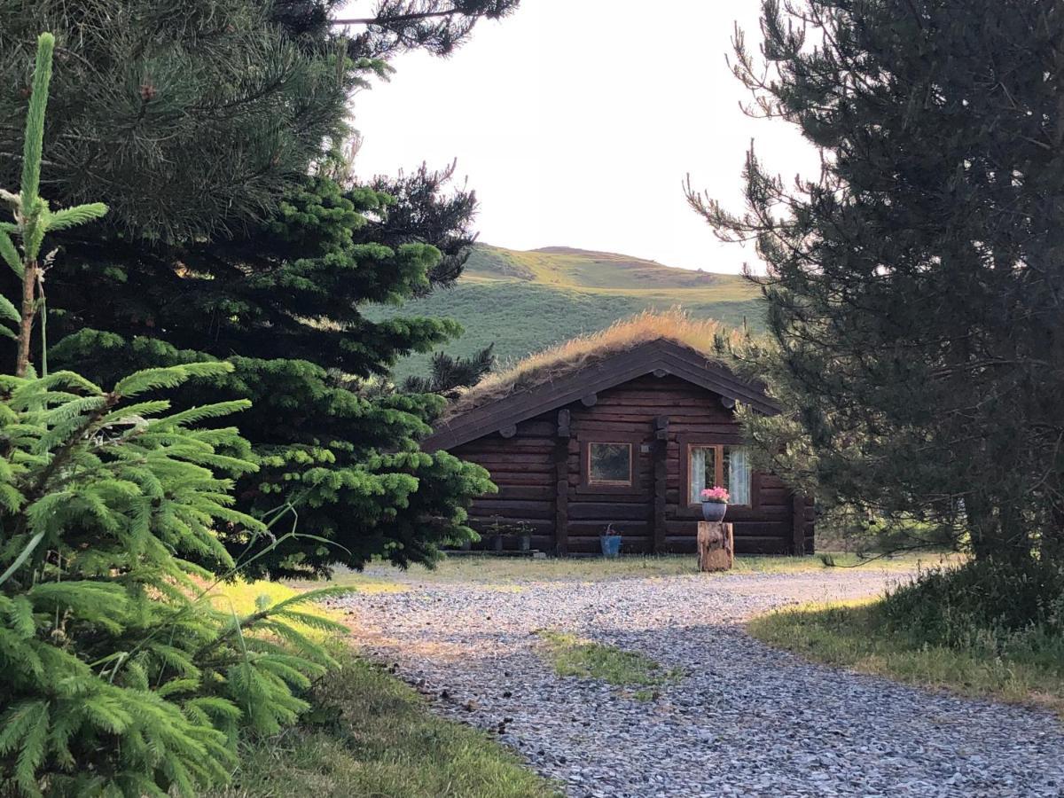 Log Home Village Ulverston Bagian luar foto