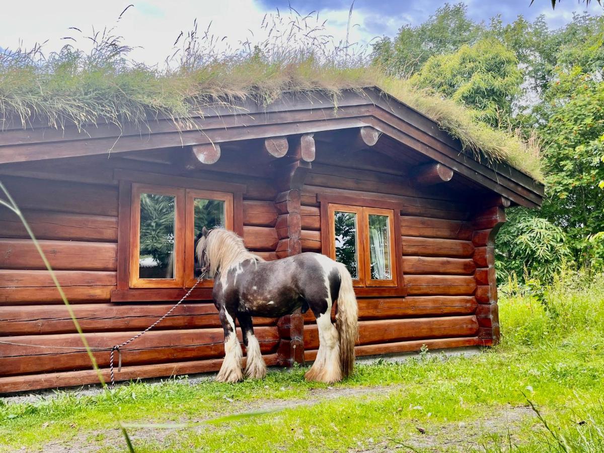 Log Home Village Ulverston Bagian luar foto